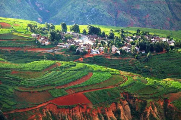 1576744301923329.jpg 農田3.jpg